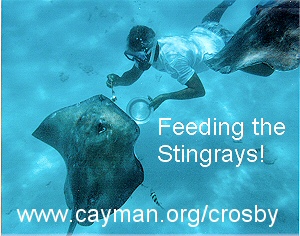 Crosby feeding ray