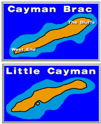 please turn *on* your images